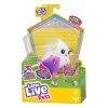 Little Live Pets Bird Series 10 Single Pack Assorted